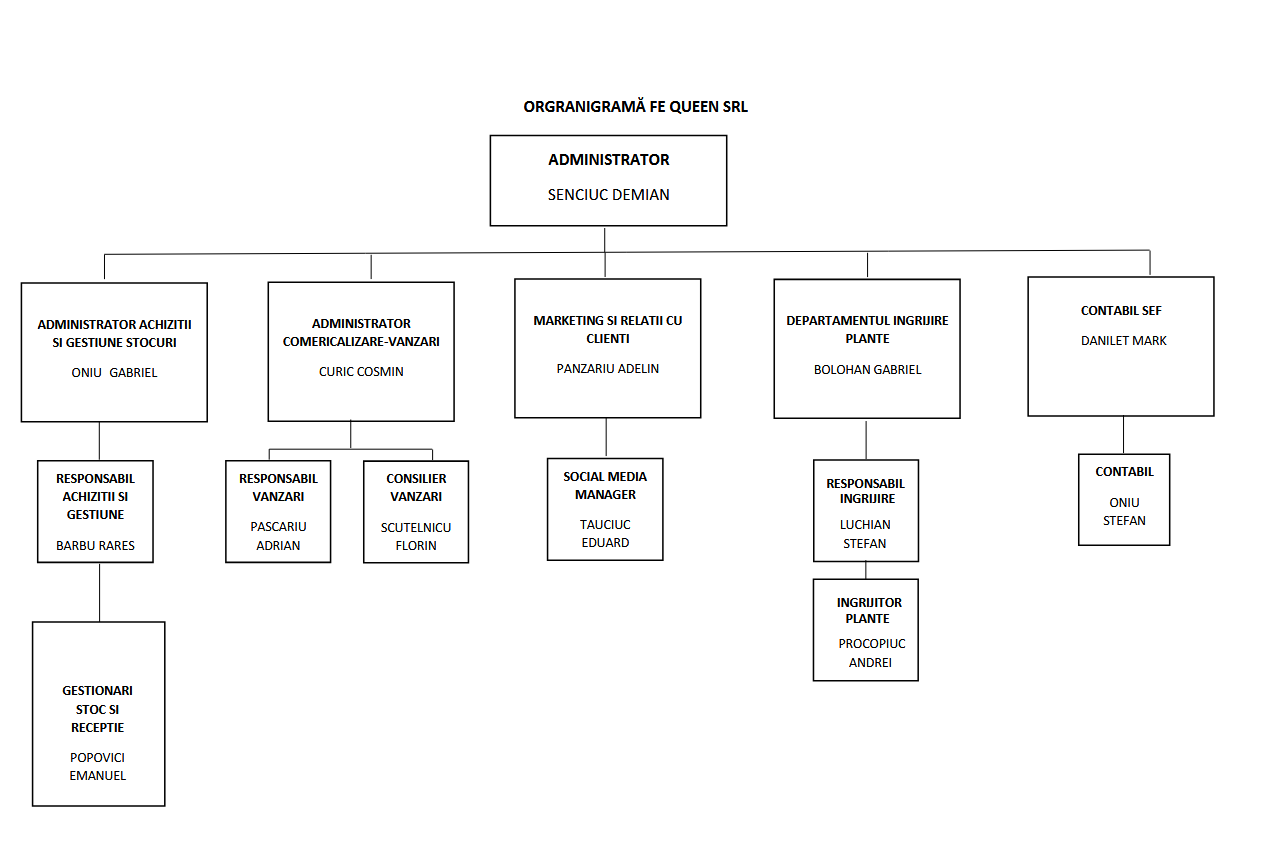 Organigrama Queen SRL